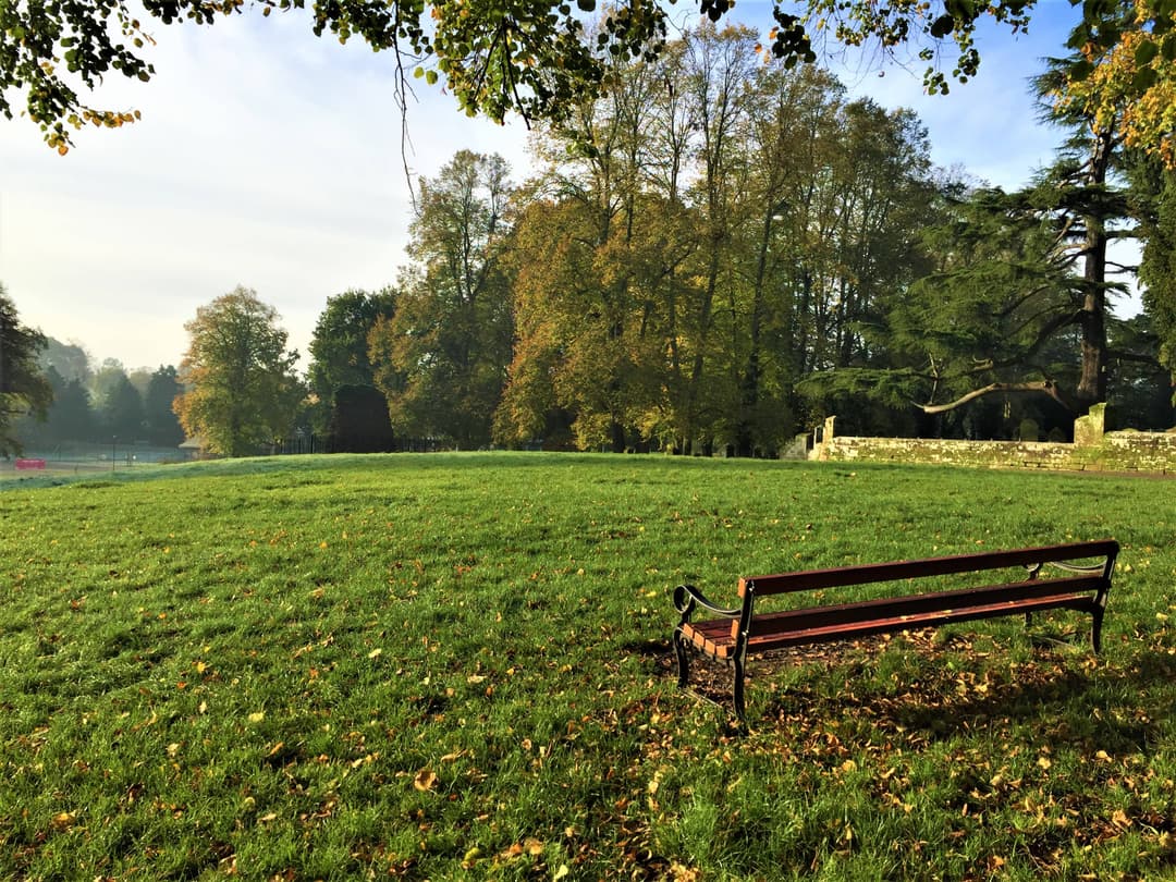 Abbey Fields, Kenilworth - image 2