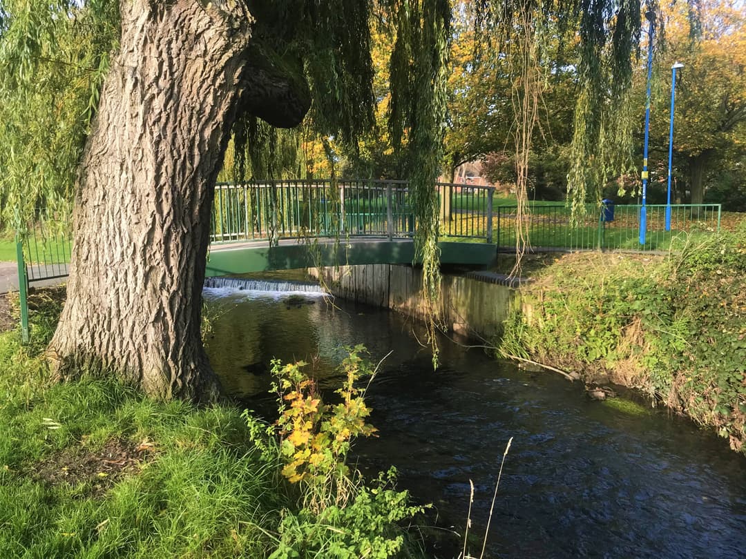 Longford Park - image 1