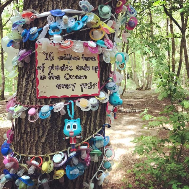 The Green Fairy Trail | Lichfield