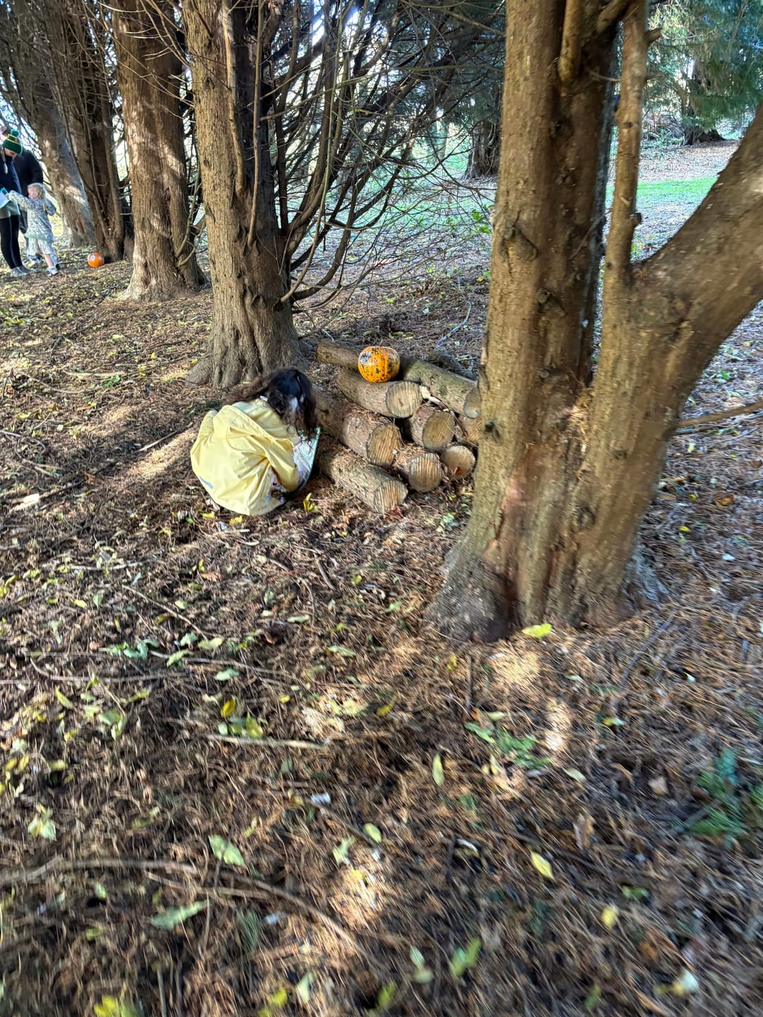 October Half Term at Nature Makers - image 1