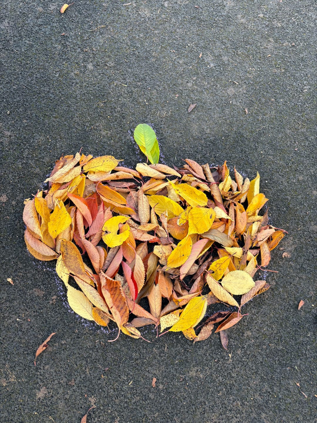 October Half Term at Nature Makers - image 2