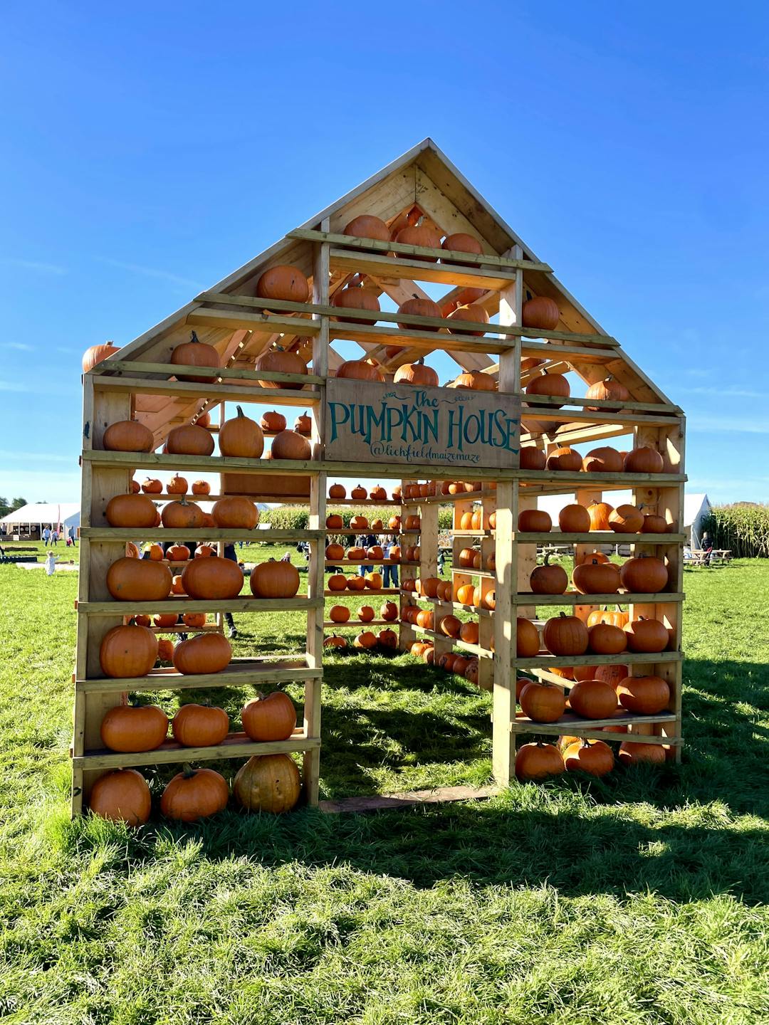 Spooky Mazes & Pumpkins | Lichfield - image 4