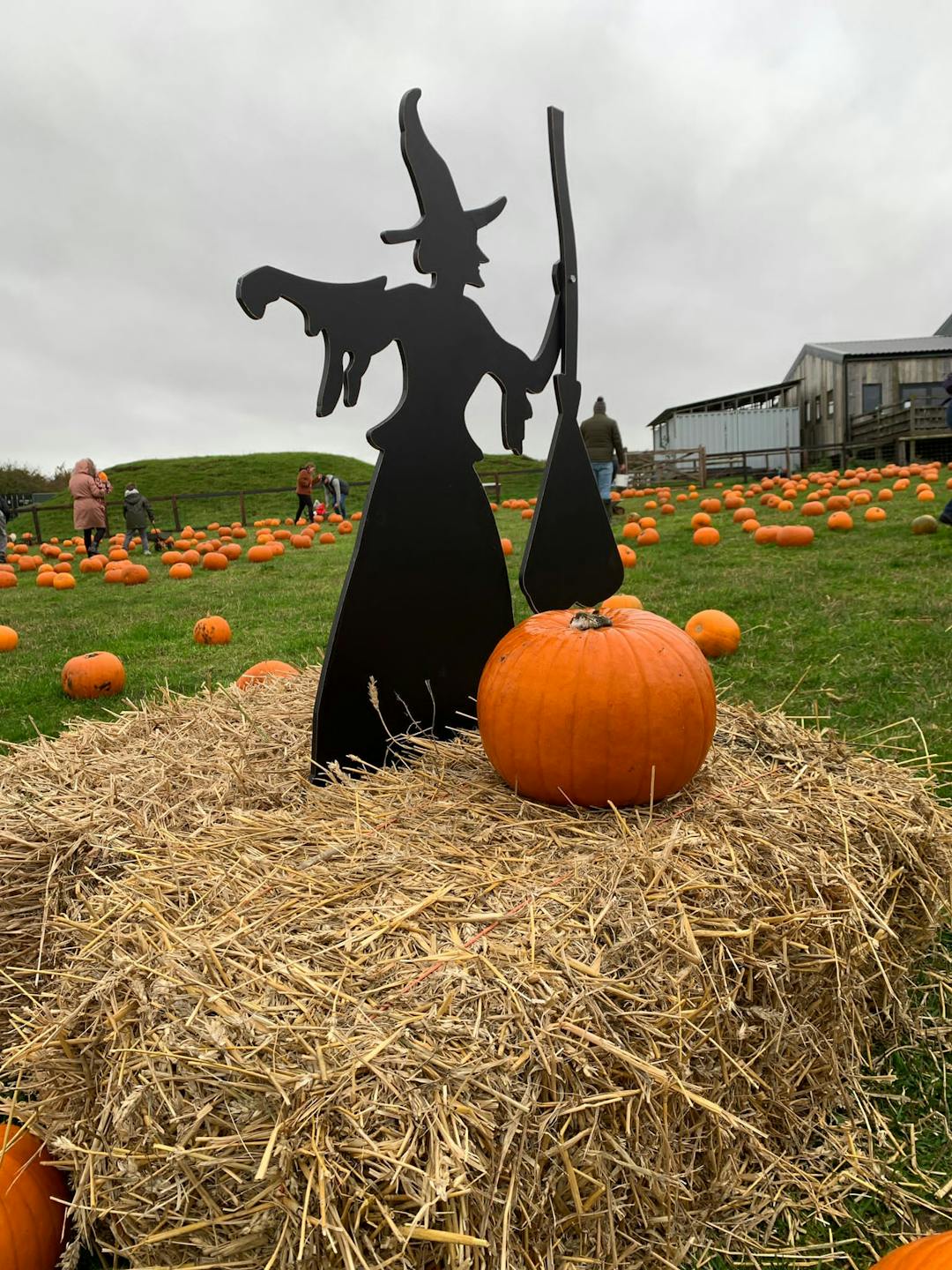 Halloween at Mini Meadows Farm | Northampton  - image 1