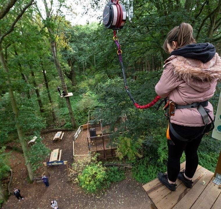Egg-venture at Go Ape Coventry - image 2