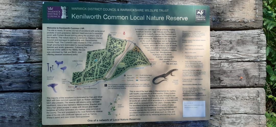 Kenilworth Common - image 1