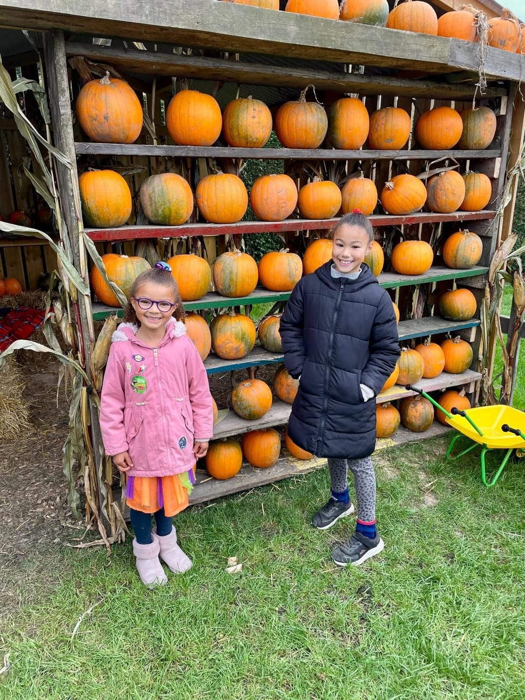 SPOOKTACULAR Halloween at Ash End House Children's Farm - image 1