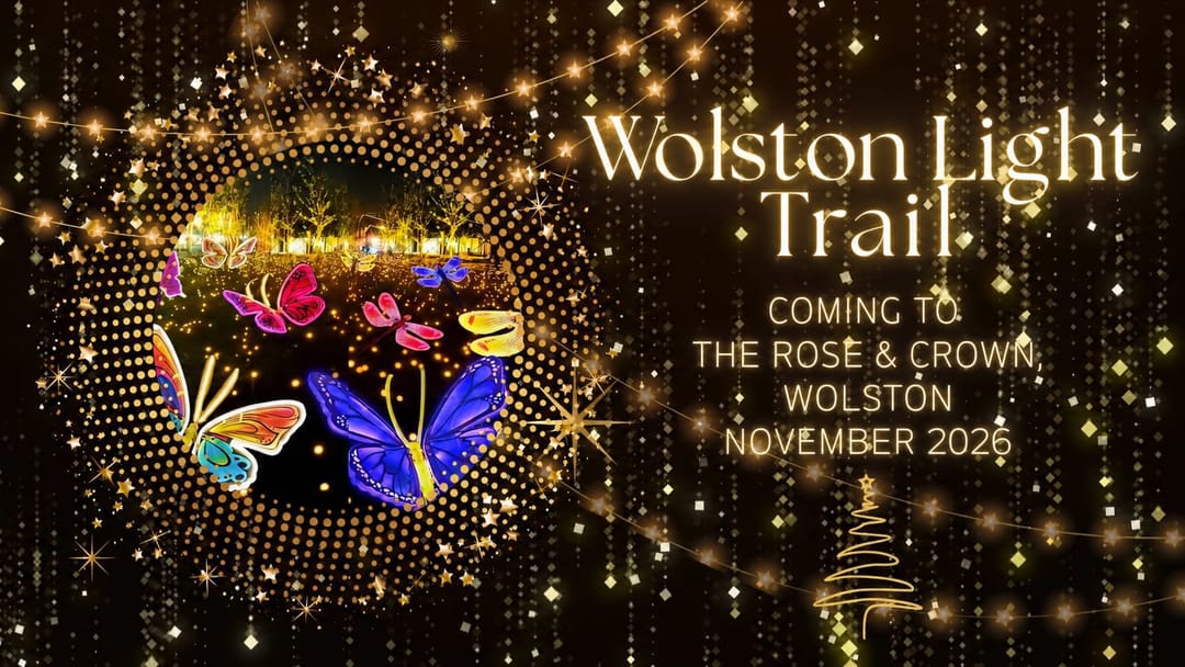 Wolston Light Trail | Wolston - image 3
