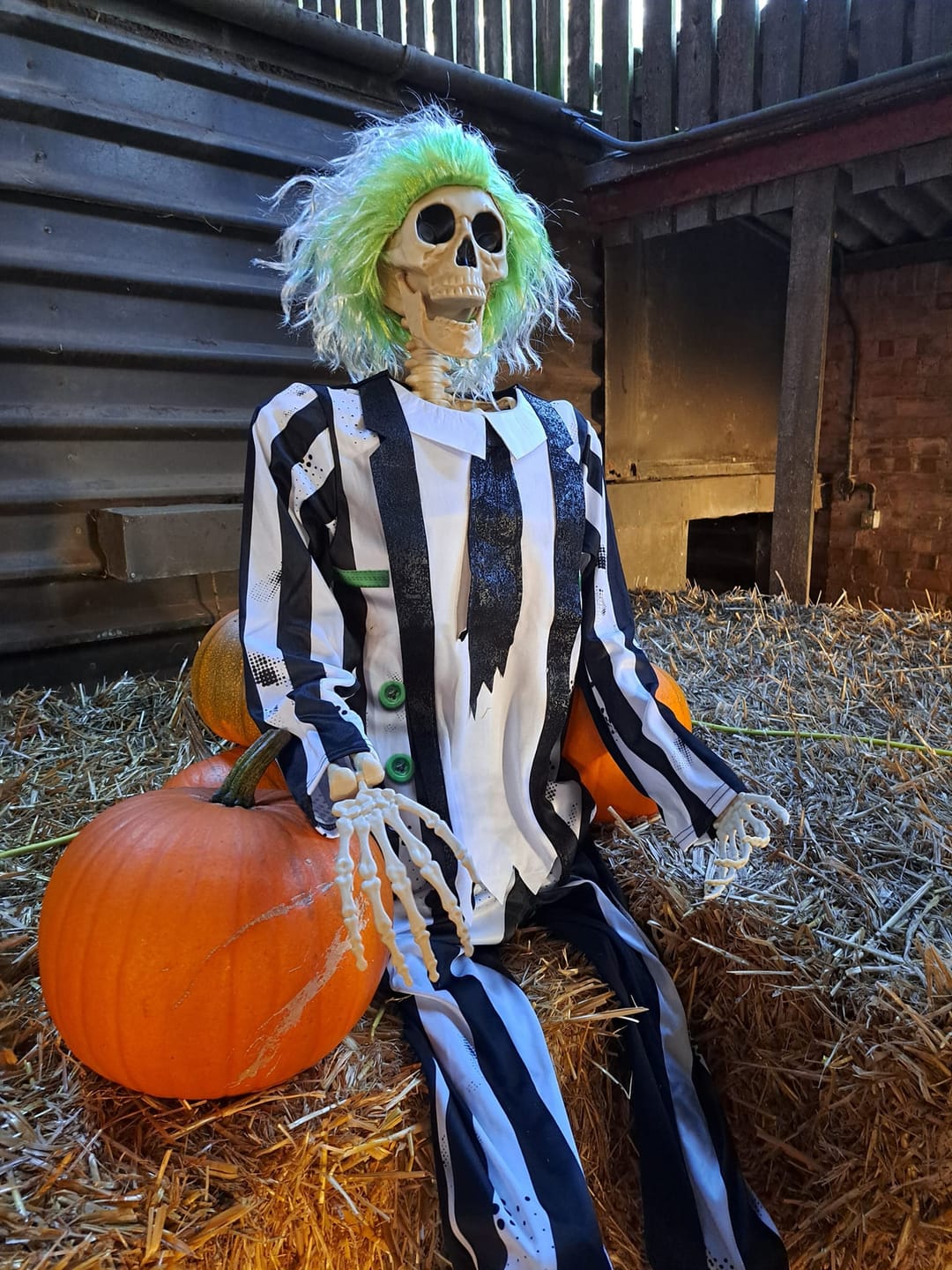 The Pumpkin Place | Wolston - image 2