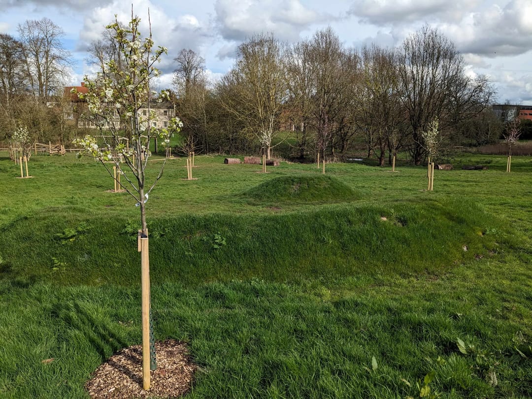 Charterhouse Heritage Park - image 2