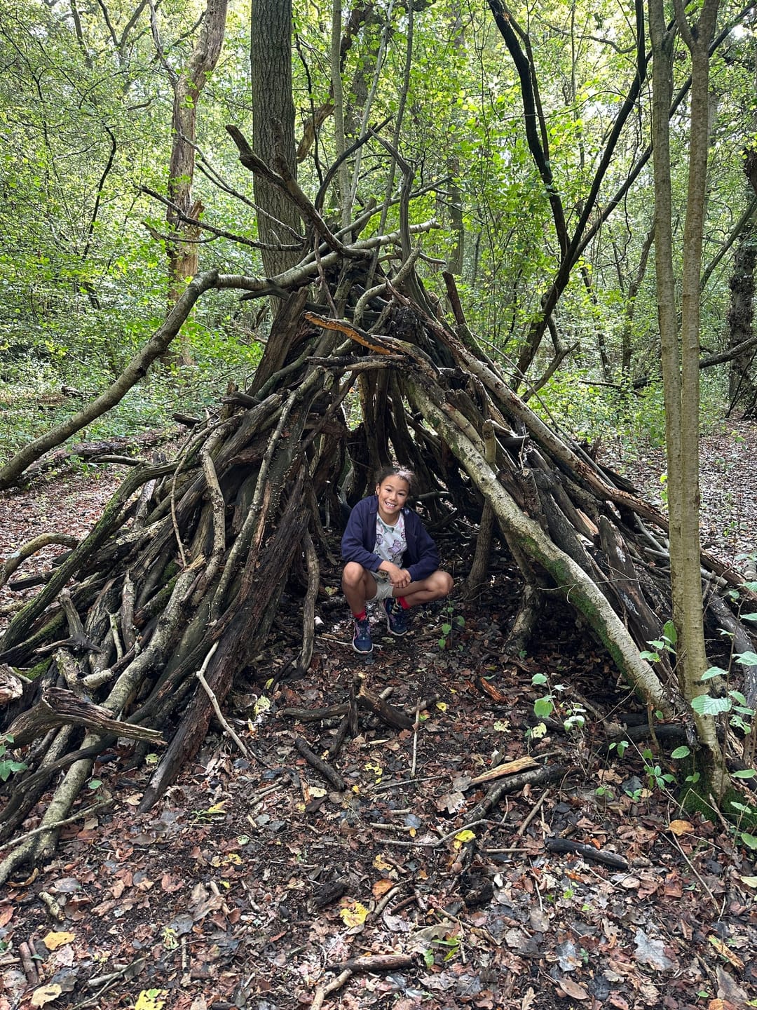 Ryton Wood - image 2