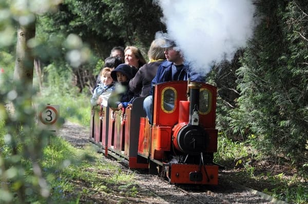 Halloween at Copsewood Miniature Railway