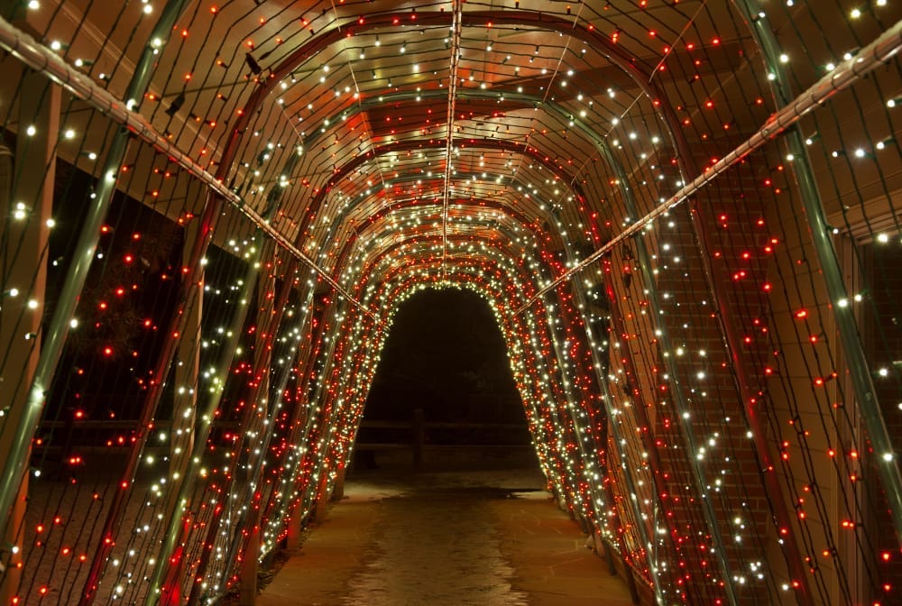 Wolston Light Trail | Wolston - image 2