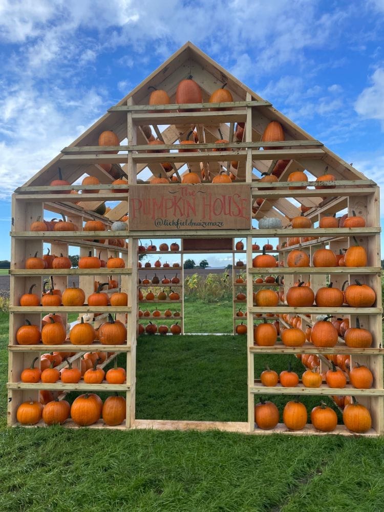 Spooky Maize Maze & Pumpkins | Lichfield - image 6