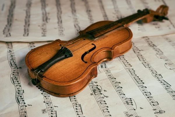 Carnival of the Animals Concert | City Centre