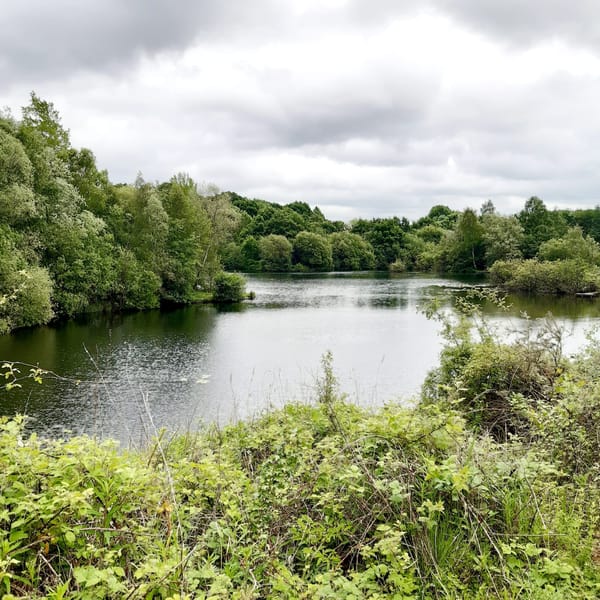 Brandon Marsh Nature Reserve