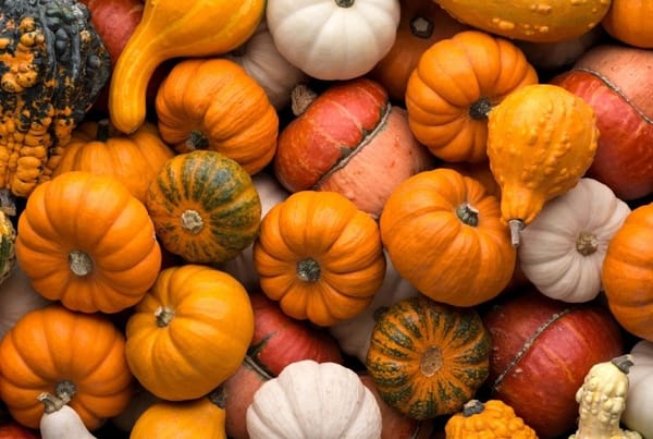 Positive Pumpkin Carving | Allesley
