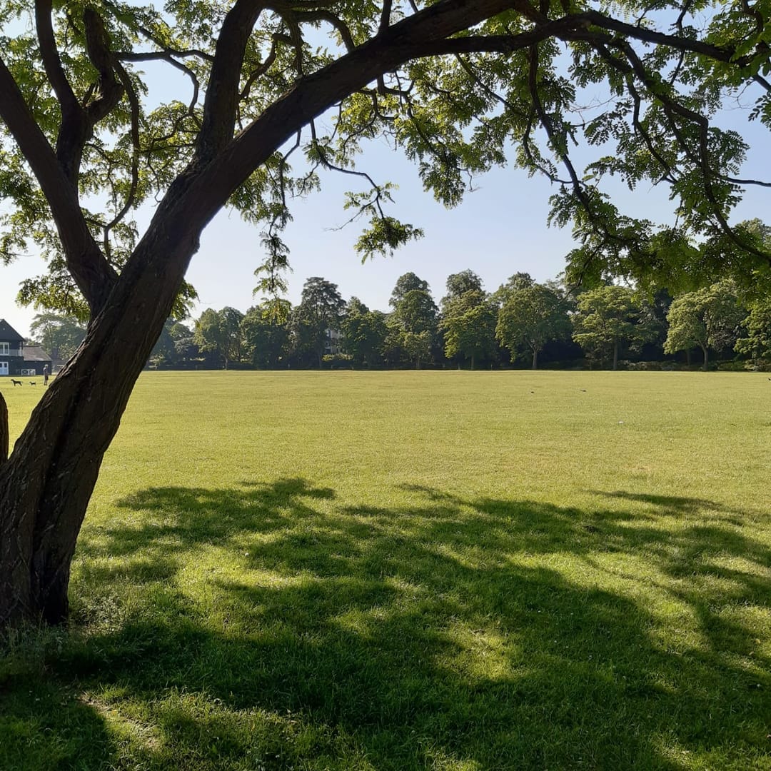 Victoria Park | Leamington Spa - image 1