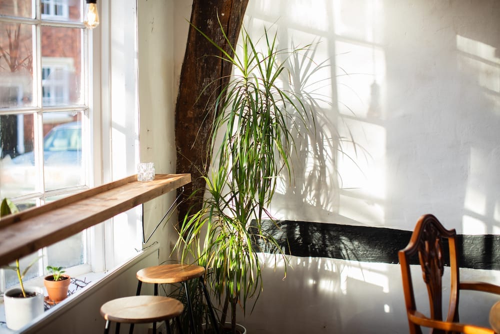 The Nook | Berkswell - image 7