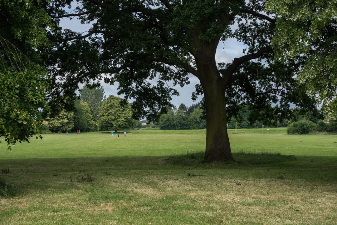 Holbrooks Park - image 1