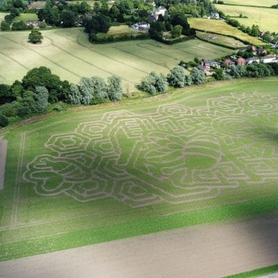 Spooky Maize Maze & Pumpkins | Lichfield - image 9
