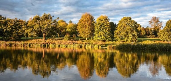 Kenilworth Nature Trail