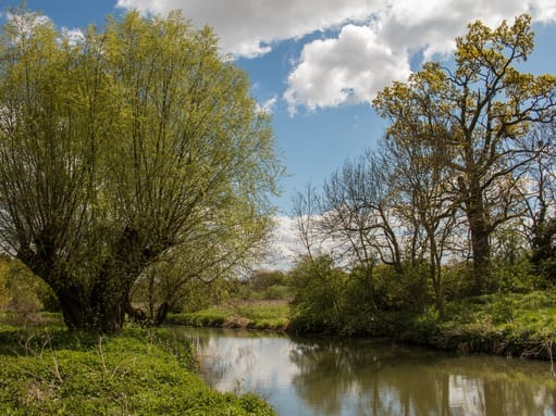 Leam Valley