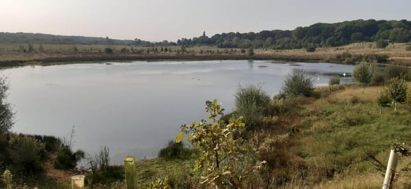 Bubbenhall Wood & Meadow