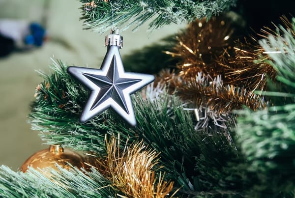 Half Moon Pub Christmas Fayre | Wolston