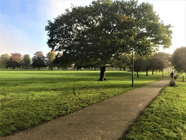 Autumn Activities at War Memorial Park