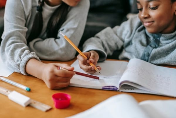Homework Help | Canley Library
