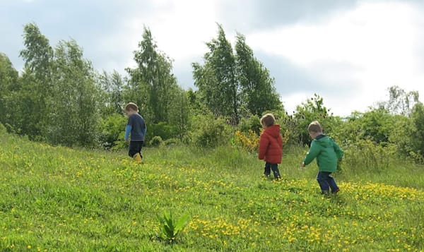 Toddler Trundle | Ryton Pools