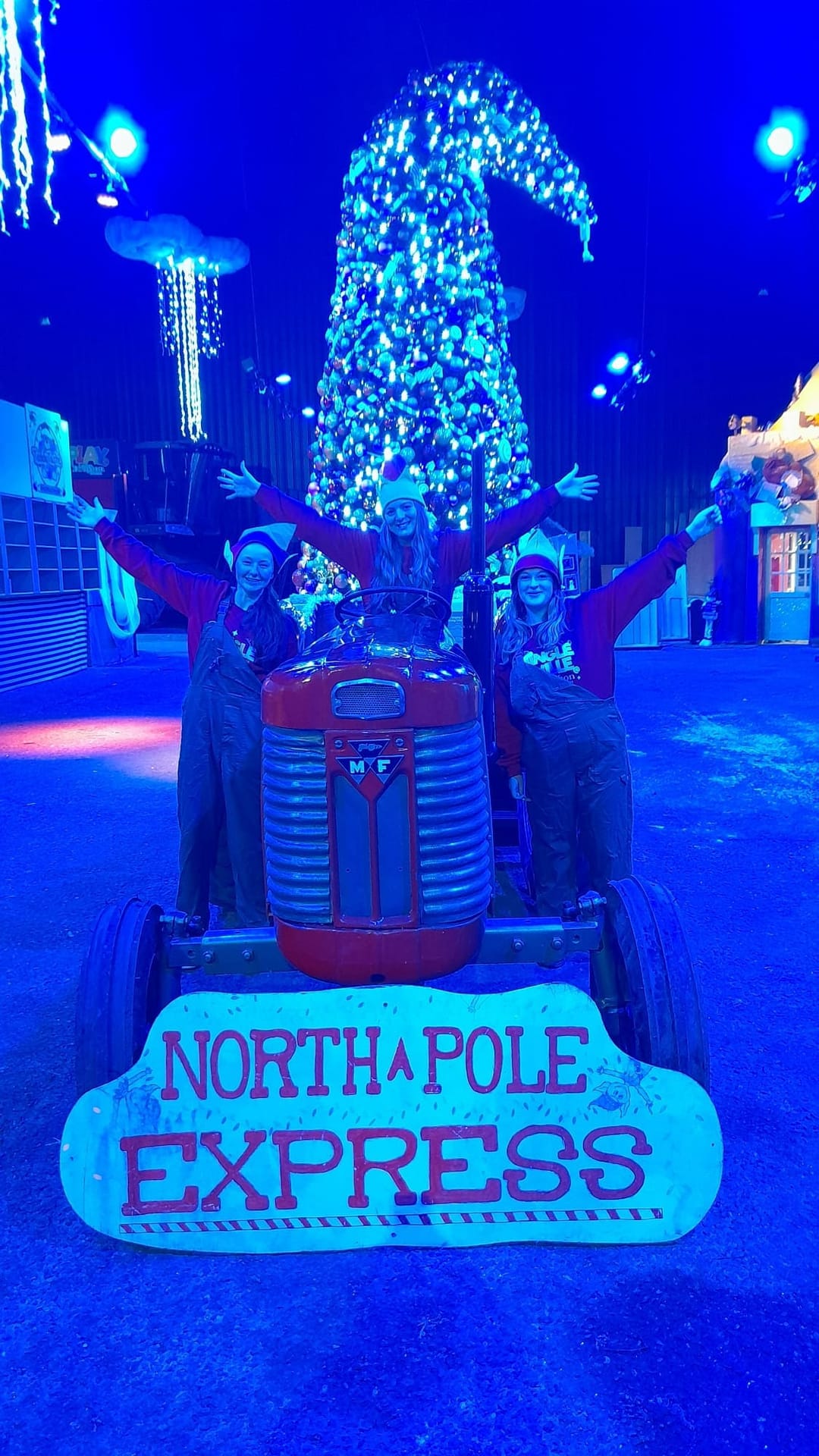 Jingle Ville at Lower Drayton Farm - image 3