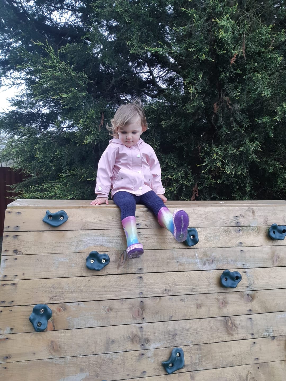 Maple Mini Music | Coleshill - image 2