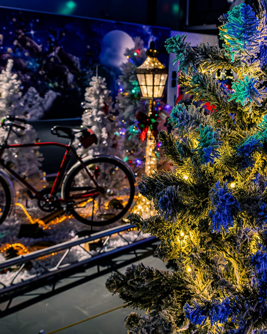 Visit Santa! Vintage Sleigh Ride - image 5