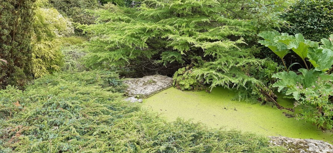 Secret Quarry Garden - image 3