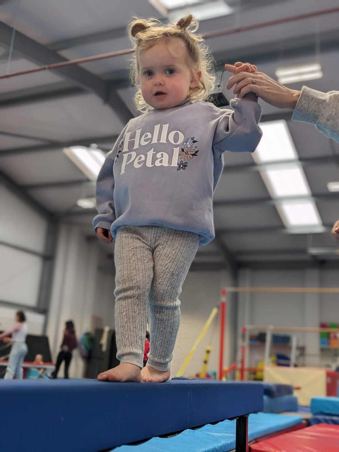 Nile Wilson Pre-School Gymnastics - image 3