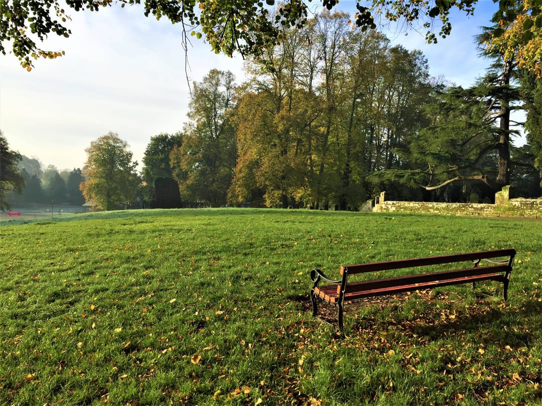 Abbey Fields, Kenilworth - image 3
