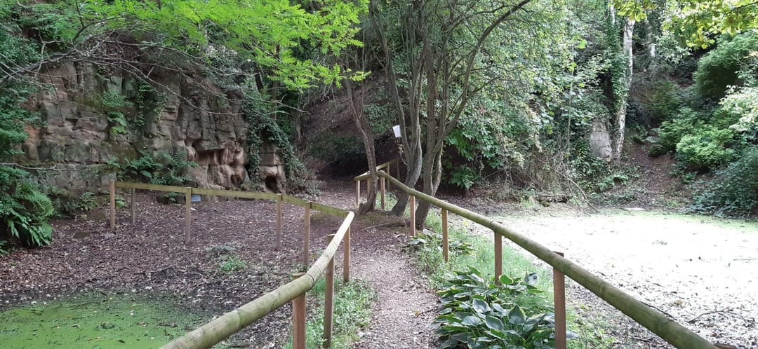 Secret Quarry Garden - image 4
