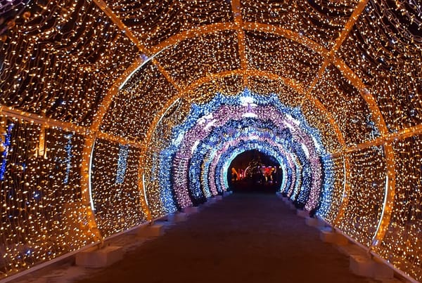 Wolston Light Trail | Wolston