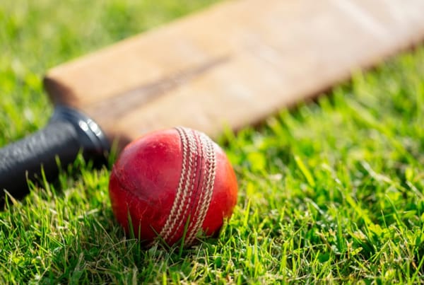 Walking Cricket