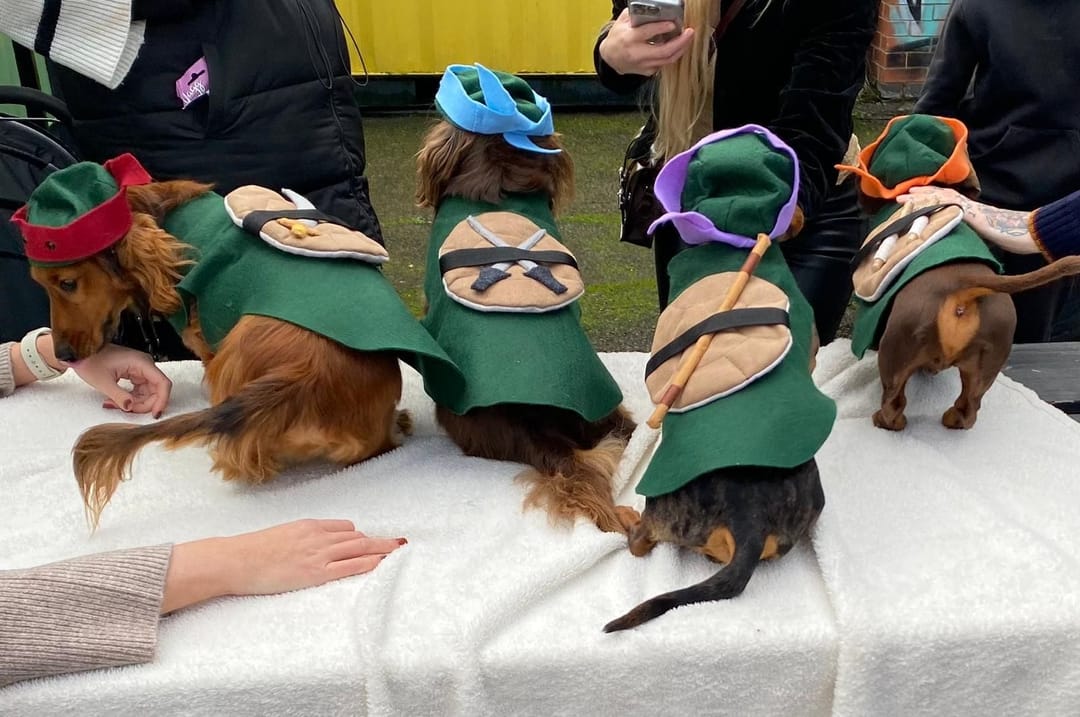 Dog 'o' Ween Parade | FarGo Village - image 2
