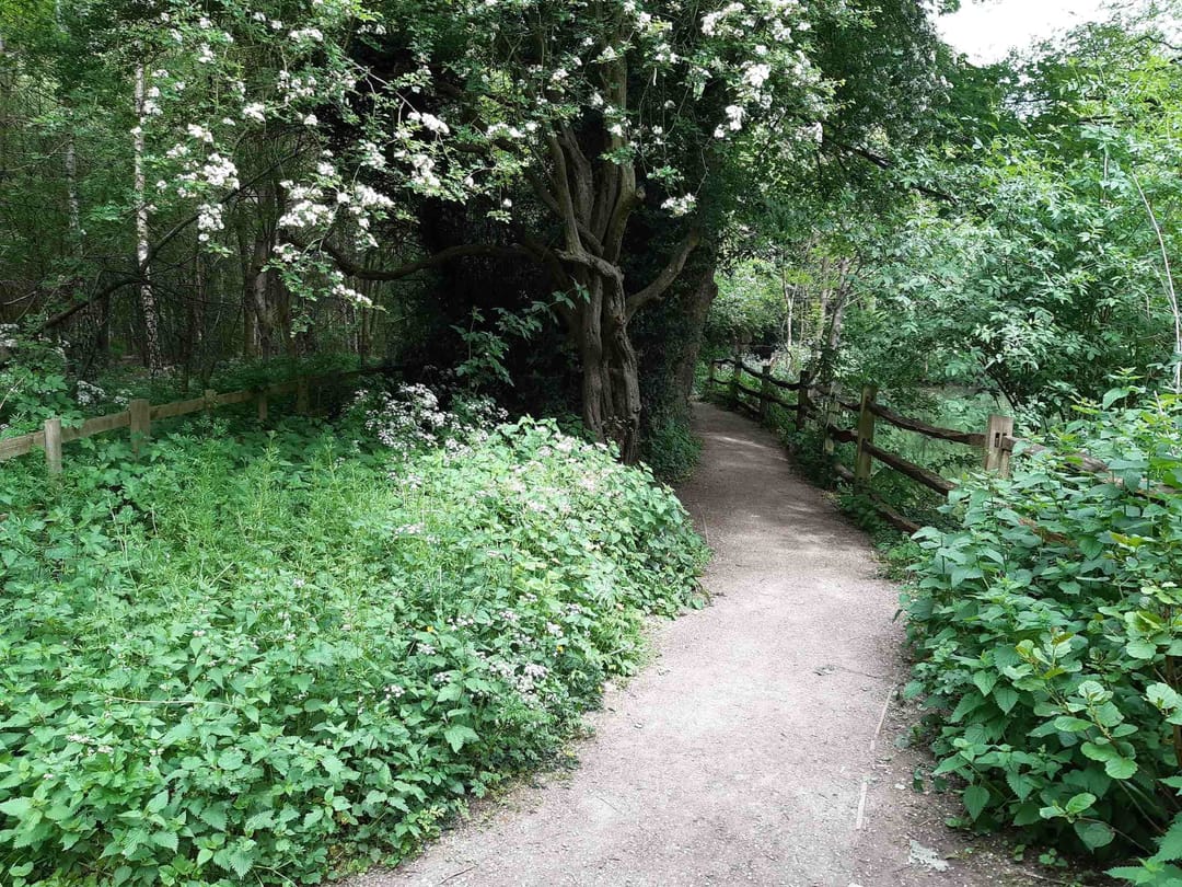 Coundon Wedge - image 1