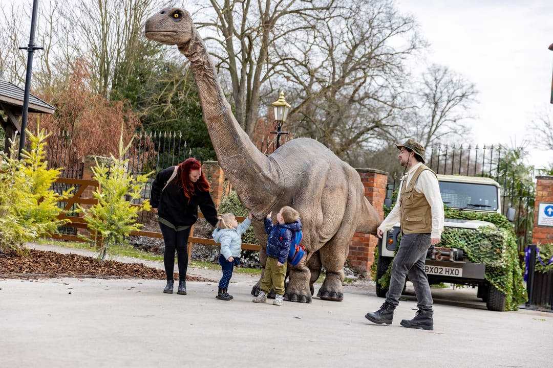 The Big Dippy Birthday BASH! - image 1