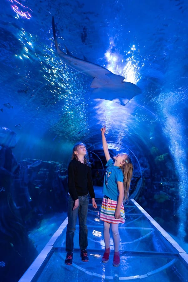 Sea Life Centre