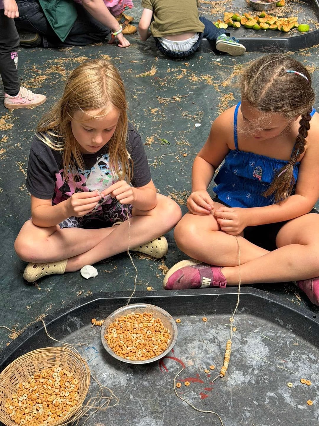 Nature Makers Home Education Sessions | Allesley - image 1