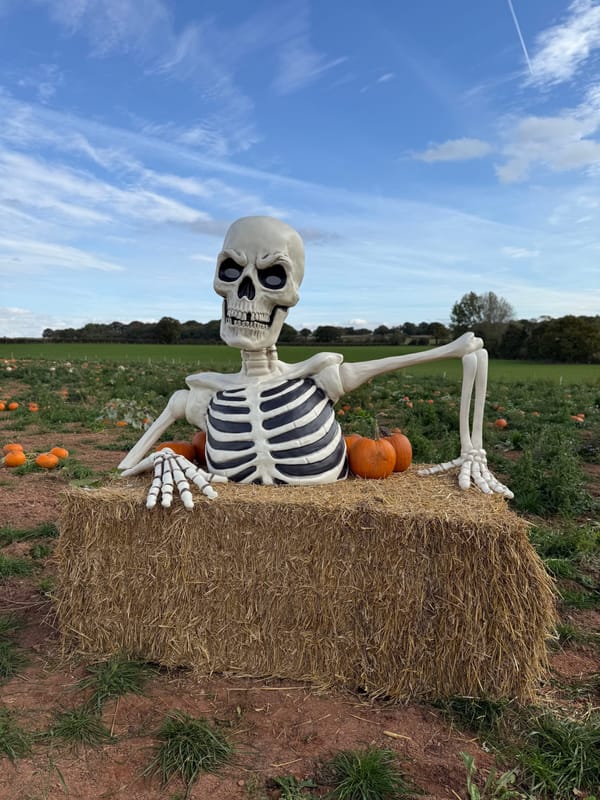 Halloween at the Barn 2026 | Meriden