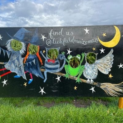 Spooky Maize Maze & Pumpkins | Lichfield - image 3