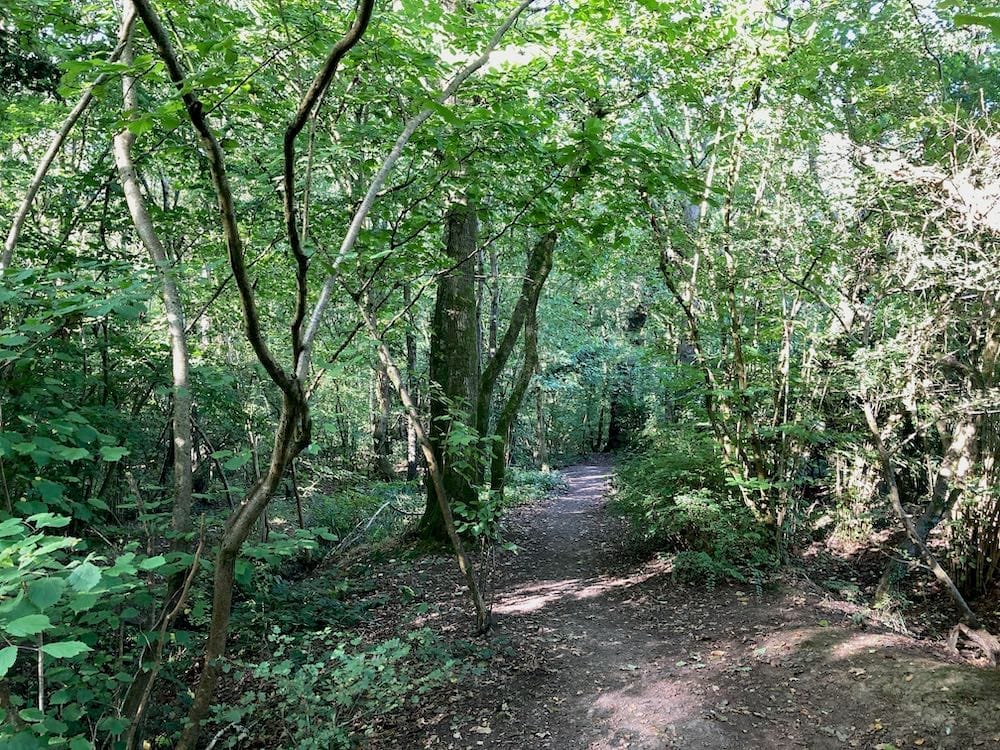 Binley Woods Park and Brandon Wood - image 2