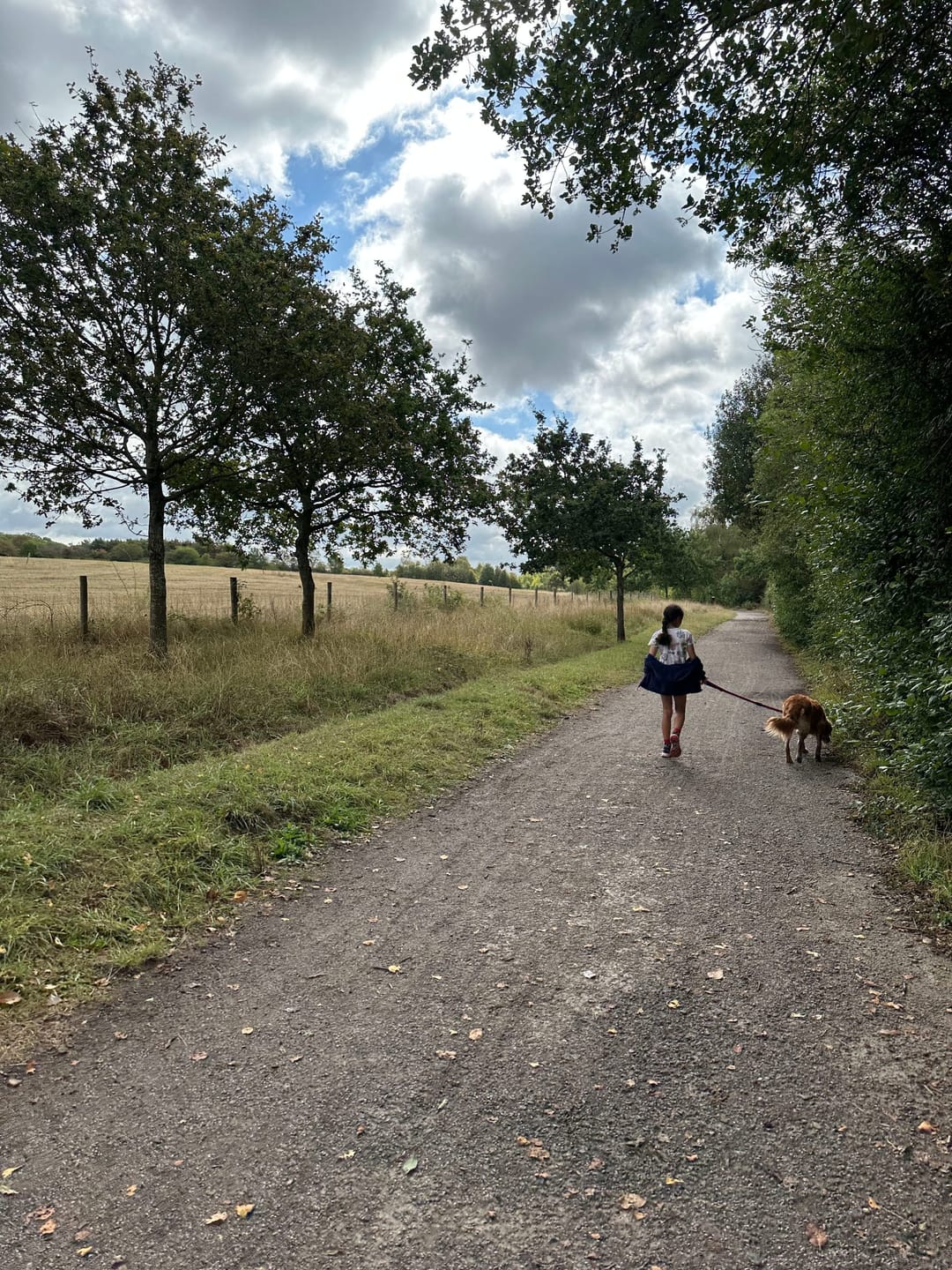 Ryton Pools Country Park - image 1