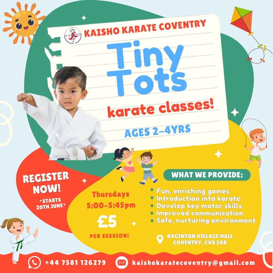 Pro-Karate Academy - Beginners | Baginton - image 3